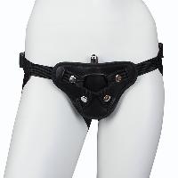 Harness
