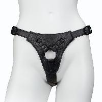 Harness