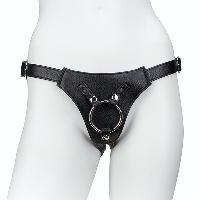 Harness
